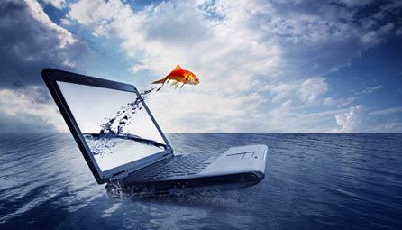 Your Imagination is the Limit!